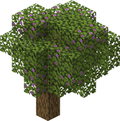 azalea tree (click?)